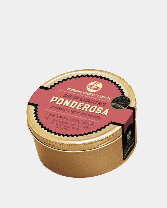 Ponderosa CoE 4.Platz Guatemala