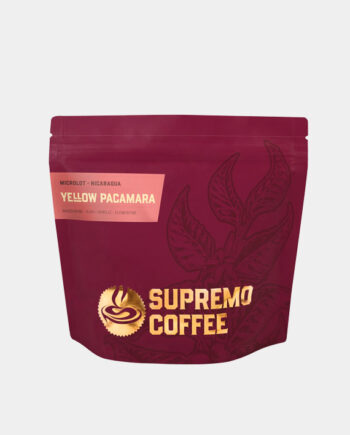 YELLOW PACAMARA Nicaragua